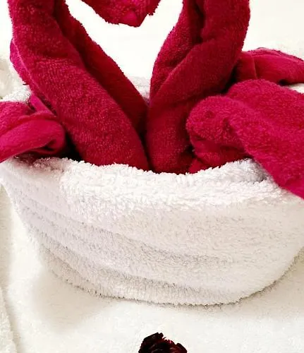 Le Cosy 3 Min De La Gare à Pieds Parking Gratuit Calme * Toulouse