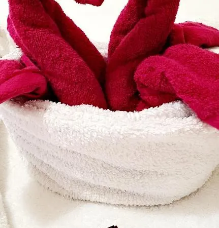 Le Cosy 3 Min De La Gare A Pieds Parking Gratuit Ventilateur * Toulouse